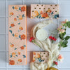Premium illustrated gift box packaging
